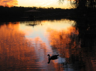 Sunset on lake